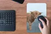 MuchoWow® Mauspad Mousepad Scottish Highlander - Straße - Produktbild-Vorschau 4
