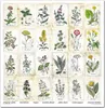 Scrapbooking-Papier Set 30×30 cm – SLS-049 Herbarium 2 – Produktbild-Vorschau 10