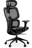 A black ergonomic office chair is shown from a side angle against a white background. Náhľad obrázku produktu