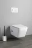 A modern wall-mounted toilet with a flush plate and a toilet brush holder against a gray wall. Anteprima dell’immagine prodotto
