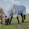 Kentucky Horsewear Ekzemerdecke mit Halsteil Fliegendecke Produktbild-Vorschau 9