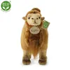 Peluche Cammello 30 Cm Eco-friednly Anteprima dell’immagine prodotto 7