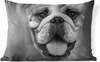MuchoWow® Outdoor Kissen - Tierprofil Bulldogge in schwarz Produktbild-Vorschau 1
