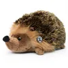 Igel Kuscheltier Braunbrustigel goldbraun 22 cm Plüsch Produktbild-Vorschau 2