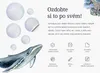 Pirátský Svět – Samolepicí 3D samolepky na zeď – Tetování Náhled obrázku produktu 6