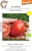 Salattomate Zorarot (Rote Zora) auch für das ungeschützte Produktbild-Vorschau 1