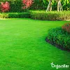 Rasendünger All-In-One (20 kg - für 400 m2)- Organifer Produktbild-Vorschau 4