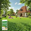 Graines de gazon avec micro-trèfle Pipolina, 10 kg pour 400 Voir les images du produit 4