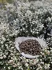 Nova Minerals Keramsit Blähton für den Garten Tongranulat Produktbild-Vorschau 2