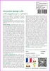 SAFLAX  - Concombre éponge Luffa - 10 graines - Avec Voir les images du produit 3