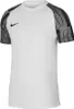 Nike Herren Dri-Fit Academy Pro Jersey - DH8031 Schwarz Produktbild-Vorschau 2