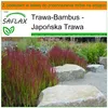 SAFLAX - Garden in the bag - Japońska Trawa - 50 Nasiona - Podgląd zdjęcia produktu 5