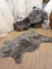 Echtes Schaffell  – rustikales Naturfell für Teppich, Produktbild-Vorschau 1