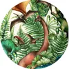 JACK Renforcé Bettwäsche 2 tlg. 135x200cm Dinosaurier Produktbild-Vorschau 3