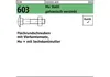 Reyher  603 Flachrdschraube 6x 45 Güte 4.6 galv. verzinkt Produktbild-Vorschau 1