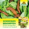Neudorff Ferramol Schneckenkorn 500g für 100 m² gegen Produktbild-Vorschau 5