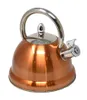 Bouilloire à sifflet 3l - Baumalu - 342782 - Voir les images du produit 2
