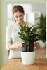 A woman is holding a potted plant. Produktbild-Vorschau