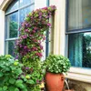 COSTWAY Rosenbogen halbrund, Gartenbogen Metall für Produktbild-Vorschau 2