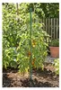 Tyčka k rostlinám FloraSelf 120 cm, zelená Náhled obrázku produktu 2