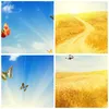 Bilder auf glas - Schmetterlinge Wiese Gras - 70x70cm - Produktbild-Vorschau 8