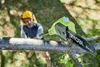 Ryobi OPP 1820 ONE+ Akku-Kettens?ge, 20 cm Schwertl?nge Produktbild-Vorschau 11
