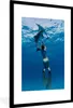 MuchoWow® MuchoWow® Gerahmtes Poster Delphin - Tauchen - Produktbild-Vorschau 1