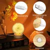 A close-up of a dandelion-themed LED night light with informational callouts. Produktbild-Vorschau