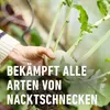 COMPO Schnecken-frei 1 kg / 4x250g Schneckenfrei Produktbild-Vorschau 6