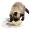 Trixie Junior Katzenspielzeug Kitten Circle Produktbild-Vorschau 5