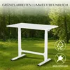 FLEXISPOT Gasfeder Höhenverstellbarer Schreibtisch 100×60 Produktbild-Vorschau 11