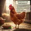 Leimüller Premium krmivo pro slepice 25 kg s peletami Immun Náhled obrázku produktu 3