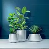Three white planters with plants on a white surface against a dark blue wall. Náhľad obrázku produktu