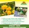 Neudorff Spruzit NEEM ZierpflanzenSchädlingsfrei 450 ml Produktbild-Vorschau 4