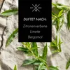 Reed Diffuser, Aroma Diffuser, Duftöl Diffuser | Lemon Produktbild-Vorschau 2