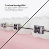 Zahnheld Ersatzdüsen Basic für Munddusche Aquadent - Produktbild-Vorschau 5