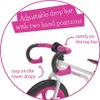Bicicletta senza pedali per bambini Chillafish Fixie Rosa Anteprima dell’immagine prodotto 9