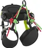 Edelrid TreeRaptor - Baumklettergurt, Farbe:219 Produktbild-Vorschau 2