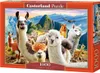 CASTORLAND puzzle 1000 dílků - Lamy Náhled obrázku produktu 1