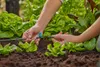 Gardena Kleinflächendüse 13316 Produktbild-Vorschau 8