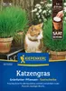 Artikelbild 2 von 'Katzengras Frischgrün Mischung (Saatscheibe)' aus der Kategorie Kleintiersaaten Produktbild-Vorschau