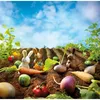 Gewusel im Garten Produktbild-Vorschau 3