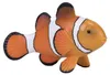Mojo Fun Clown Fish, 3 Jahr(e), SEALIFE, Orange, Weiß, Produktbild-Vorschau 6