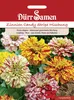 Dürr-Samen - Zinnie Candy Stripe Mix einjährig 70 cm - Produktbild-Vorschau 1