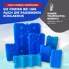 Elektrische Kühlbox 30L Coolbox Thermobox Picknick Camping Produktbild-Vorschau 4