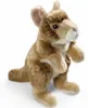 Carl, een pluchen koala-knuffel, goudbruin, ongeveer 20 cm Productafbeelding-voorbeeld 1