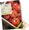 Tomatenzaden (Saint Pierre, 10 stuks) - Tomatenzaad van Productafbeelding-voorbeeld 1