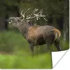 MuchoWow® Poster Elch - Wald - Porträt 75x75 cm - Wand Produktbild-Vorschau 1
