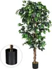 Plante d'intérieur décorative de 180 cm, plante Voir les images du produit 2