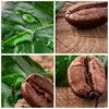 Wanduhr - Quadrat - Glasuhr - Aroma Kaffee Pflanze Samen - Produktbild-Vorschau 8